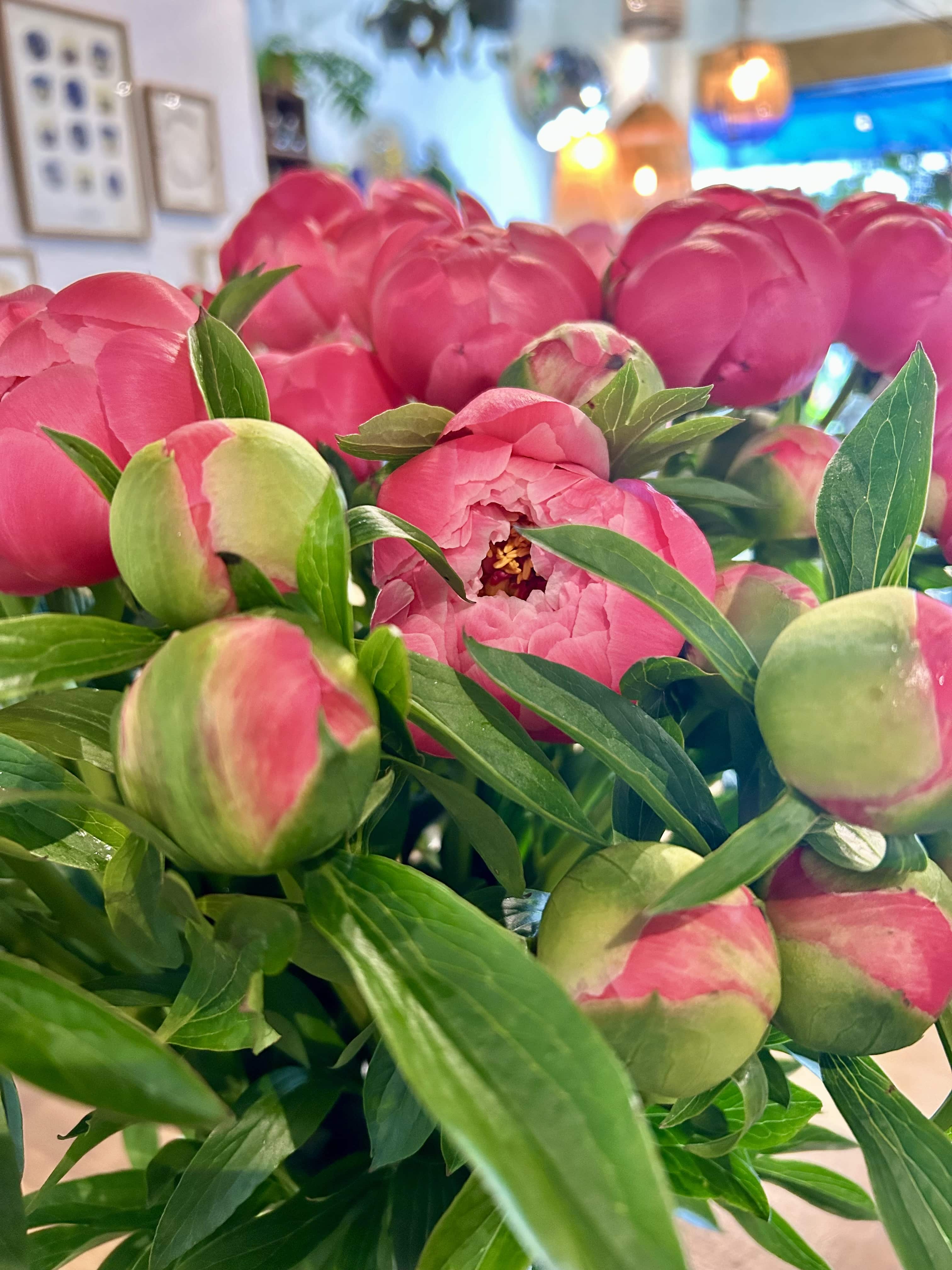 Pivoine coral charm