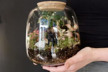 ATELIER TERRARIUM