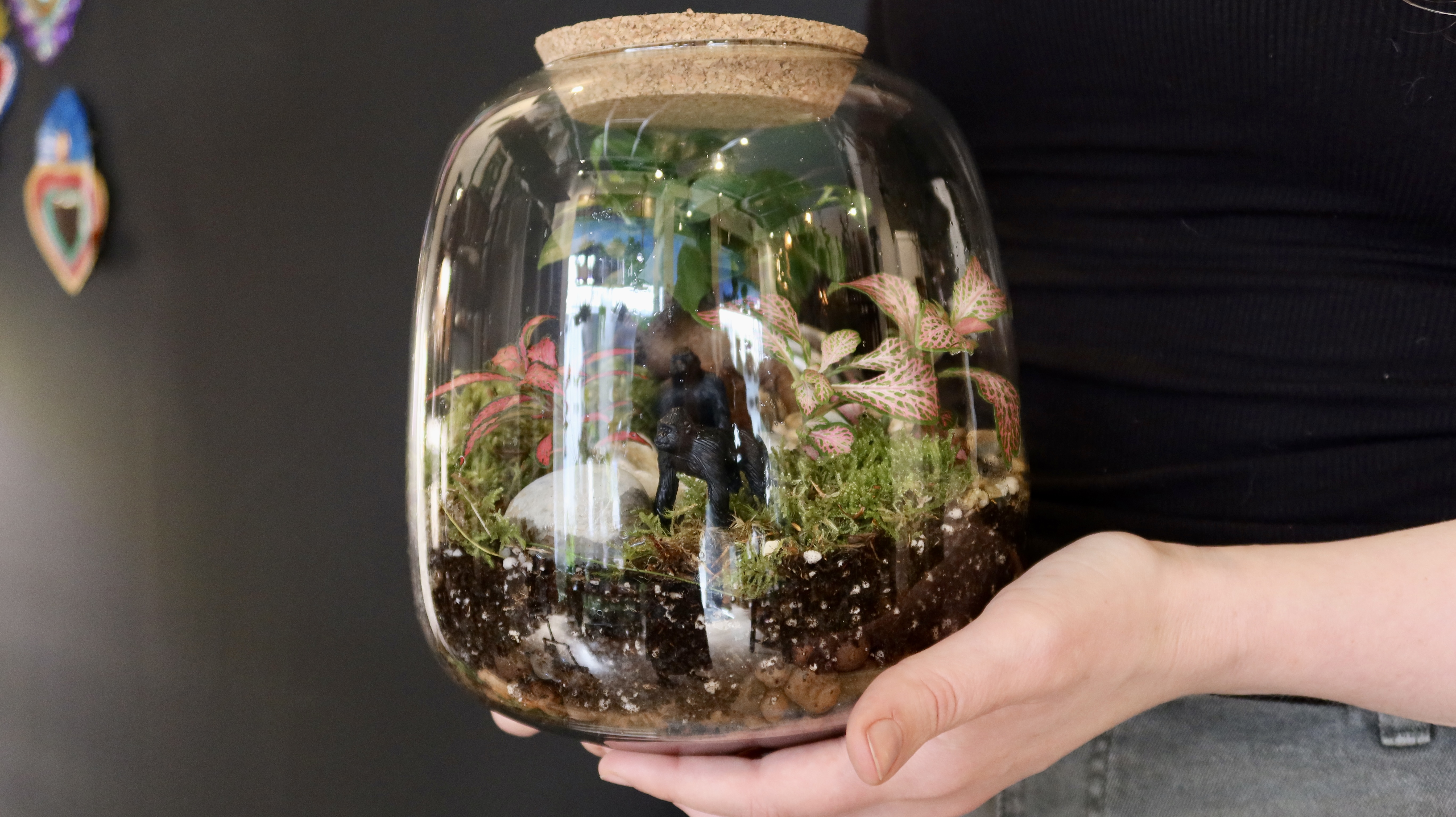 ATELIER TERRARIUM