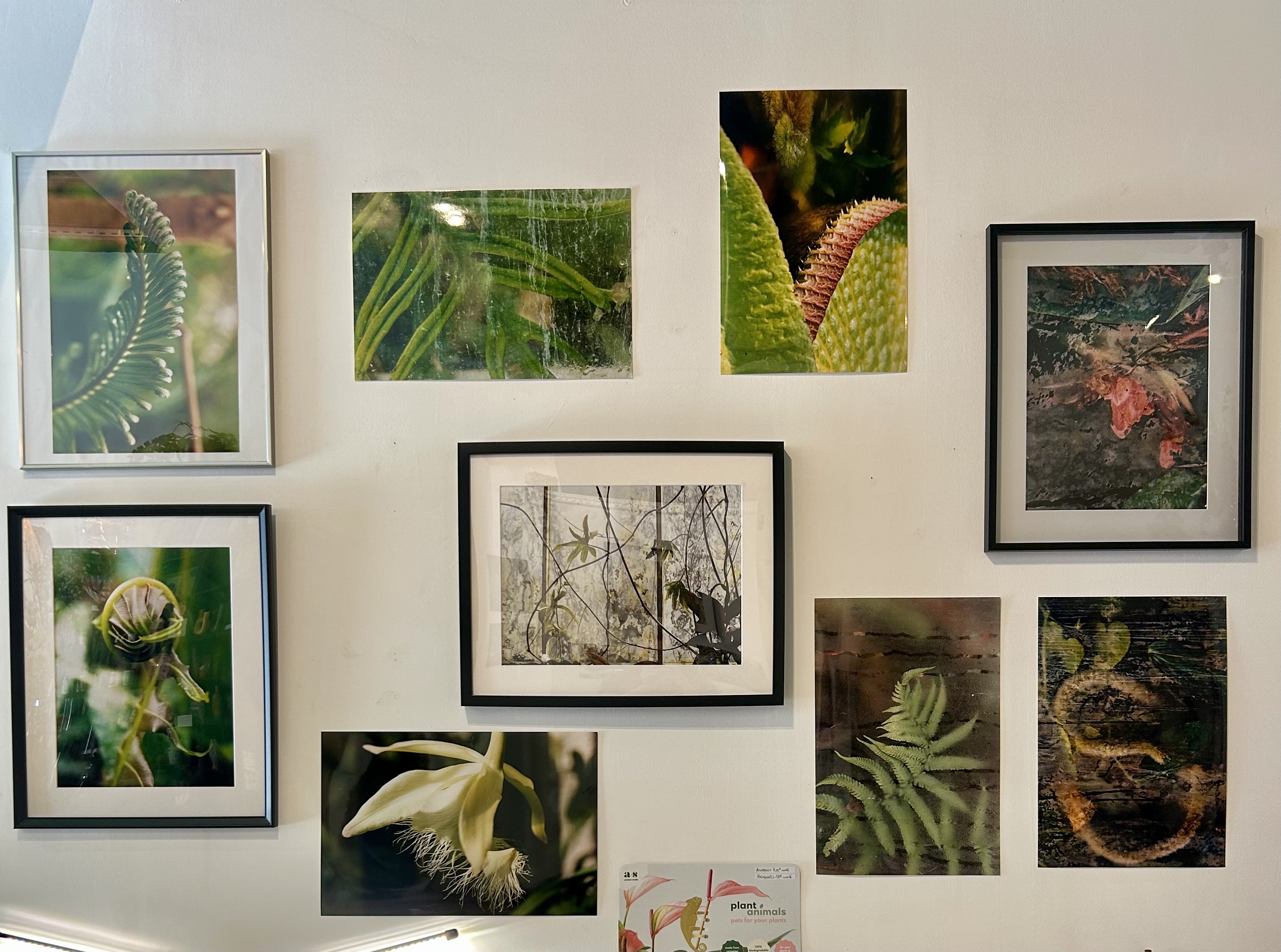 Expo photo