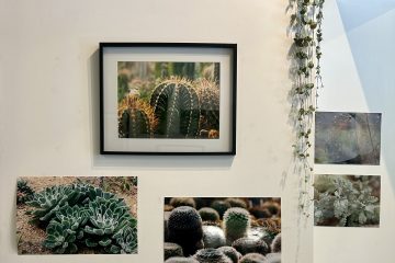 Expo photo