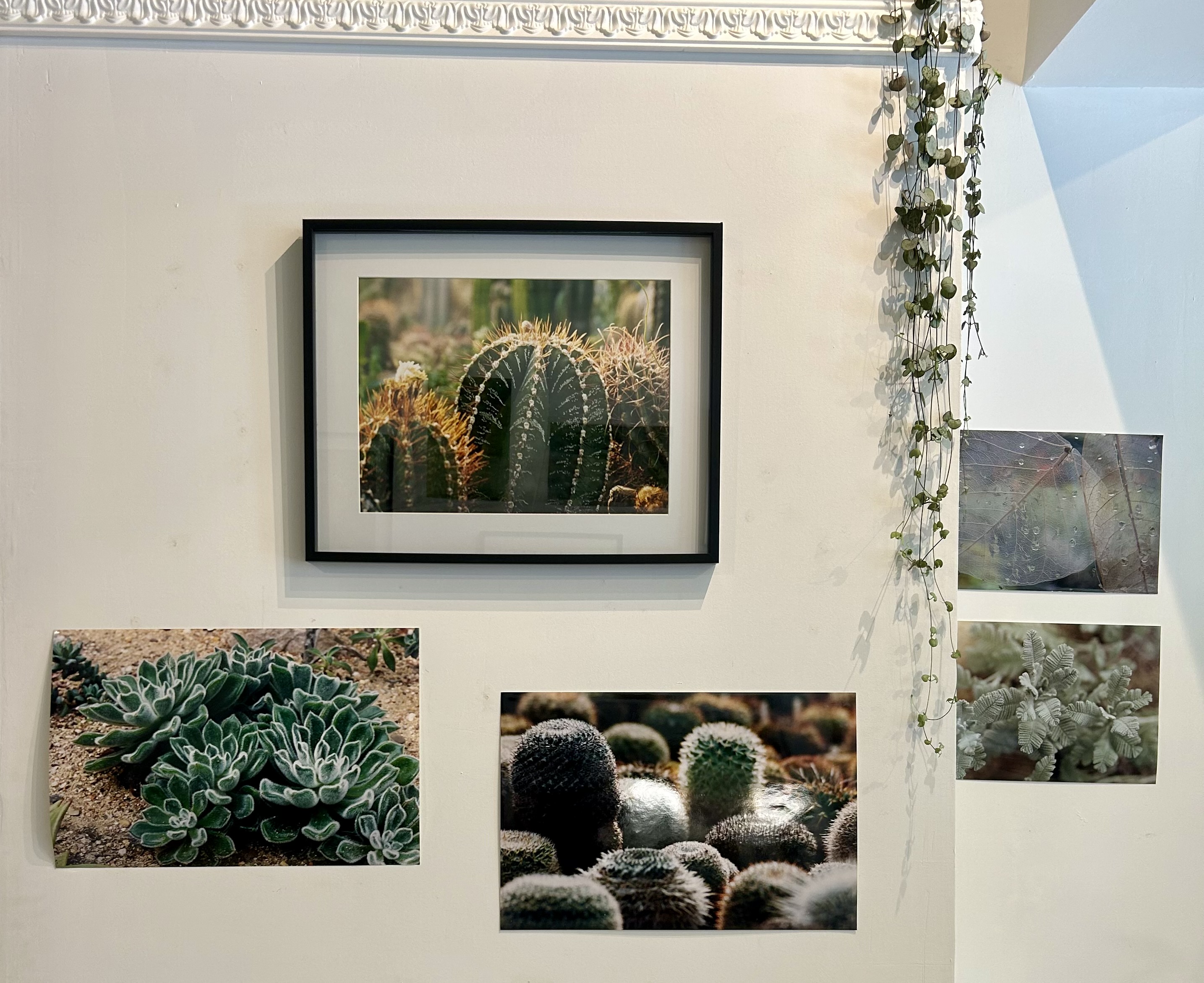 Expo photo