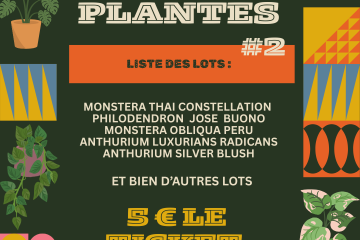 TOMBOLA PLANTES